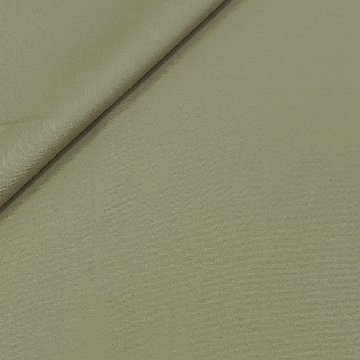 Canetti Italy Luxury Supima Cotton Plain Suiting Fabric Colour Greenish Brown